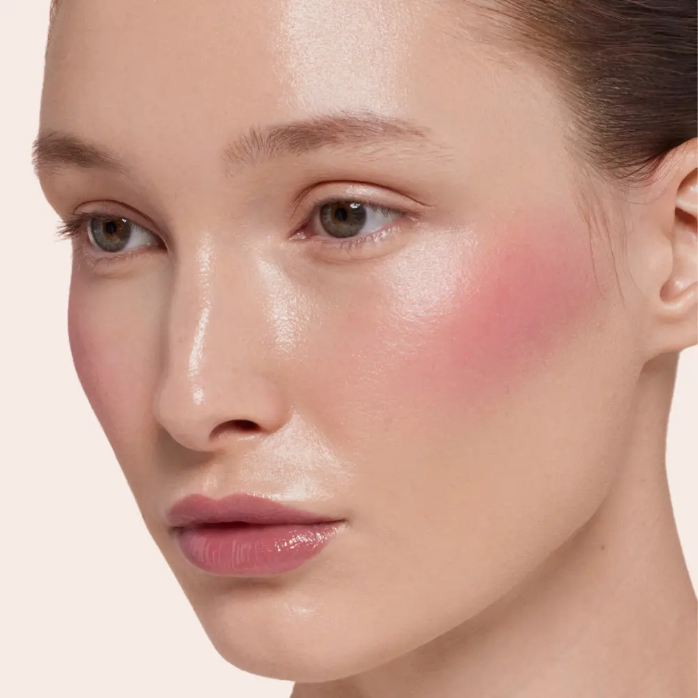LOCA Blush Stick-1 Totally Fine -Nude Mauve.webp