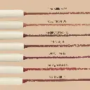 Loca Perfecting Lip Liner The Brown Affair CEO Move 092.webp
