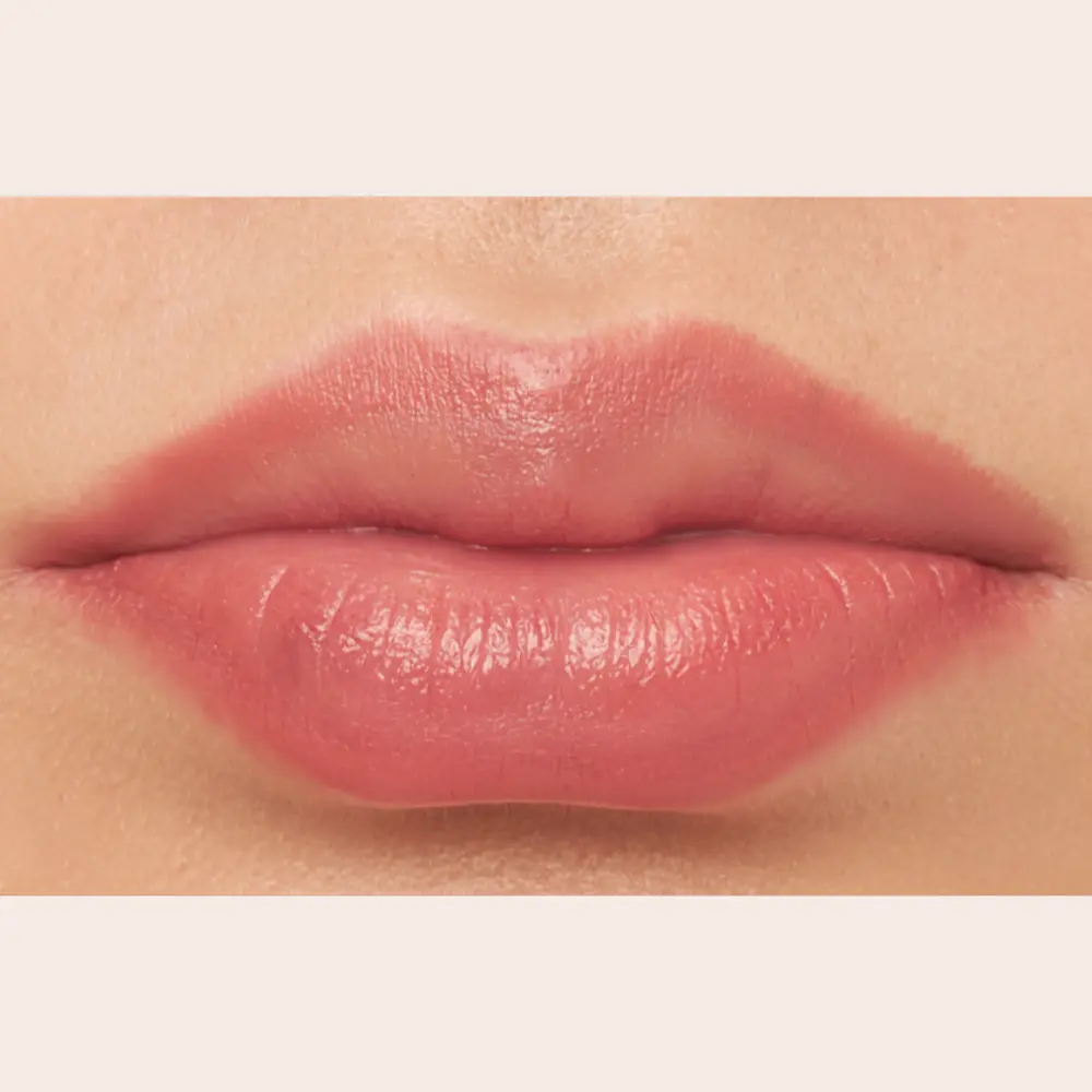 Perfecting Lip Liner.webp