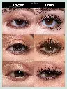 17392610917cc0799d628f5b37ecc6800e54b8081d_wk_sheglam.webp