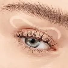 images (2).webp