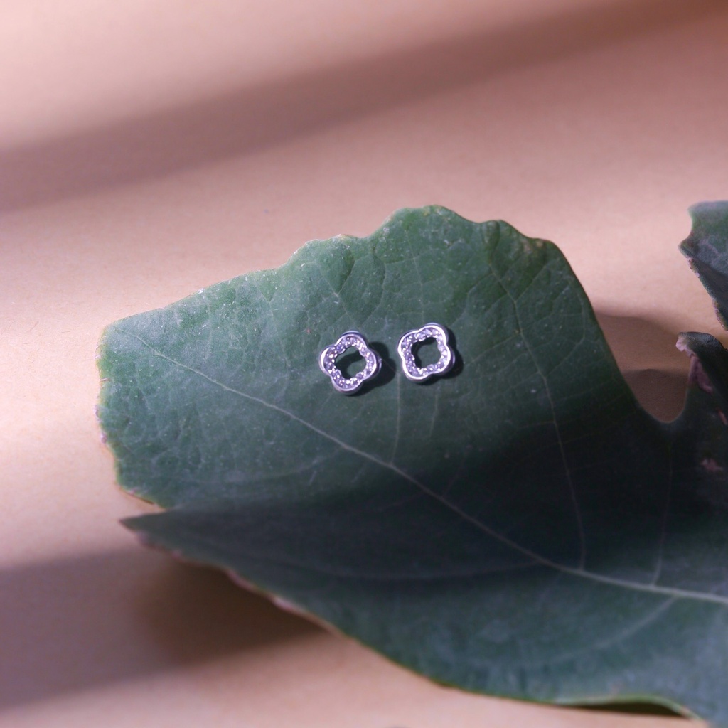 925 sterling Silver Earrings- Y1912W