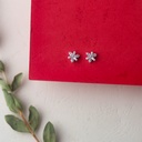 925 sterling Silver Earrings- Y2486W