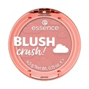 Essence Blush Crush! 120