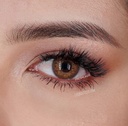 Fresh Lady contact lens - Russian Brown
