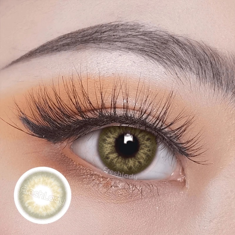 [فرش ليدي / Fresh Lady] Fresh Lady contact lens - Dna Taylor Brown Hazel