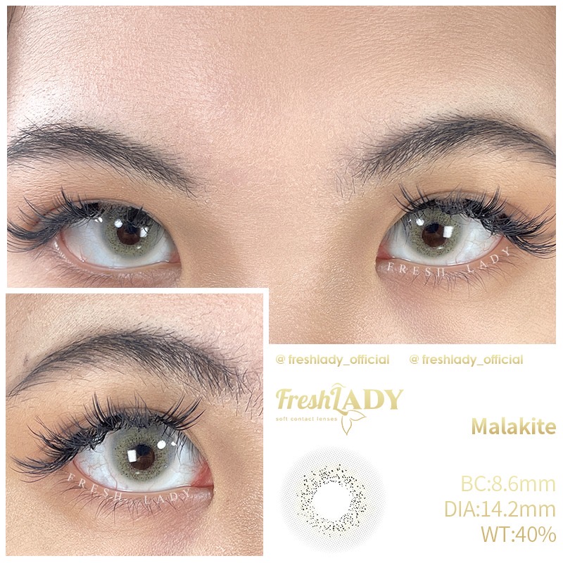 [فرش ليدي / Fresh Lady] Fresh Lady contact lens - Malachite