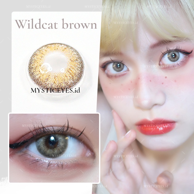[فرش ليدي / Fresh Lady] Fresh Lady contact lens -  Wildcate Brown
