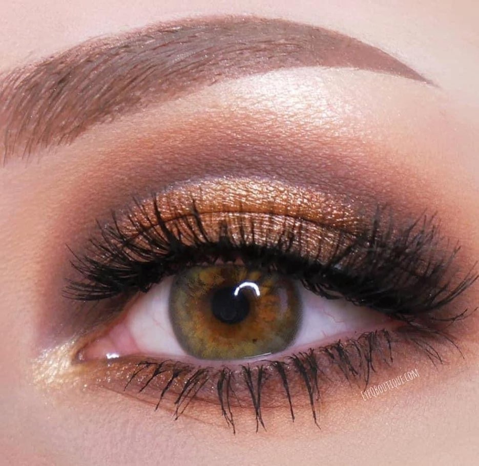 [فرش ليدي / Fresh Lady] Fresh Lady contact lens - Rio Brown